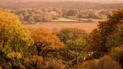 Autumn on the Ightham Mote Estate